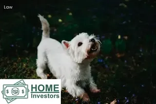 can you lose your home due to medical bills