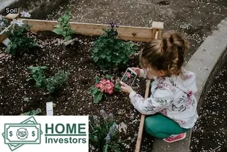 old house no foundation