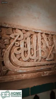 termites in woodpile