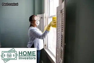 subterranean termite frass