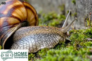 foundation issues house