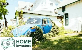 what does termite dust look like