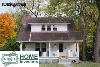 termite inspection cost near me