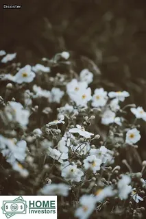 fire victim assistance