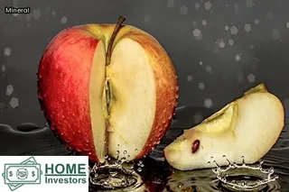 what needs to be disclosed when selling a house