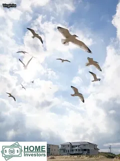 what is a squatter tenant